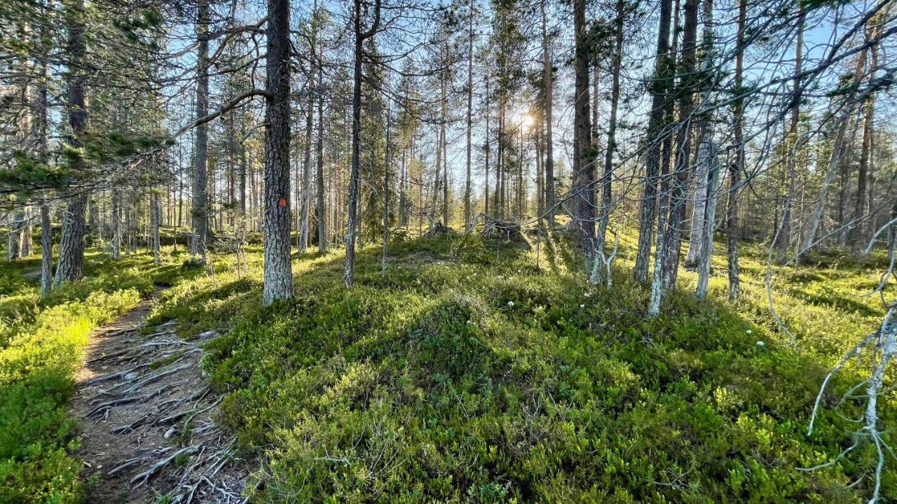 Lapiosalmi Wilderness Center Hotel Posio Bagian luar foto