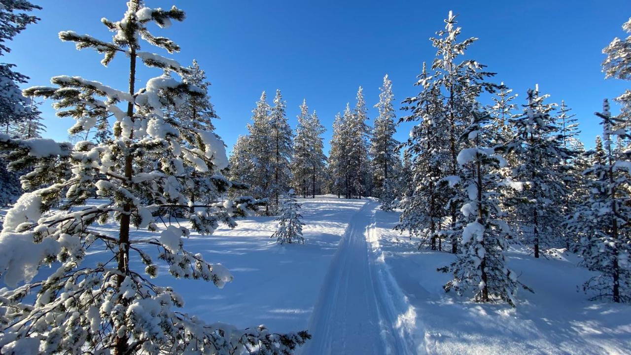 Lapiosalmi Wilderness Center Hotel Posio Bagian luar foto