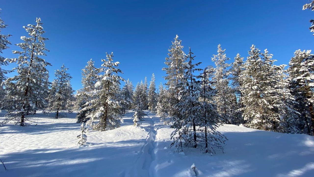 Lapiosalmi Wilderness Center Hotel Posio Bagian luar foto